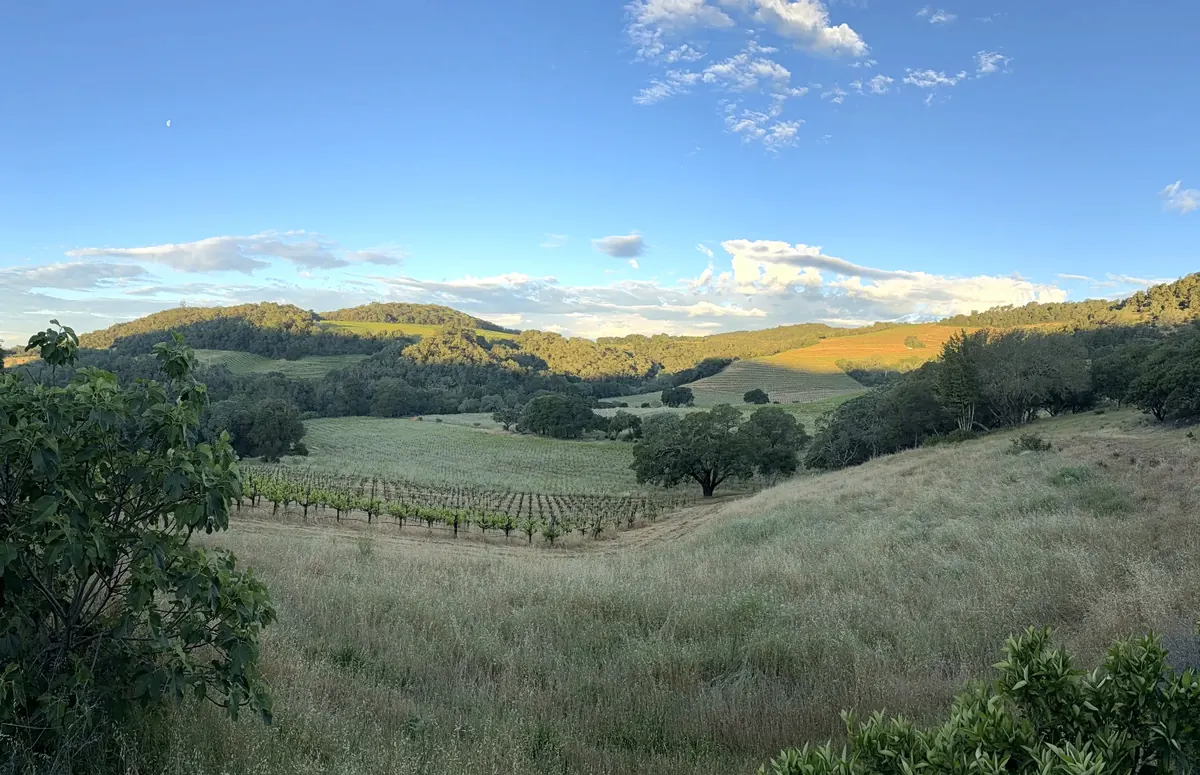 The valley from the estate at dusk, a moon rising over the vineyard